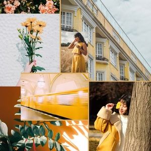 iPhone Wallpaper online check it out!